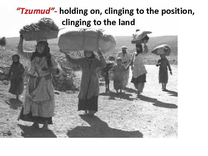 “Tzumud”- holding on, clinging to the position, clinging to the land 