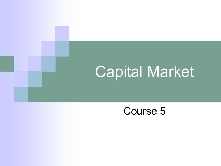 Capital Market Course 5 