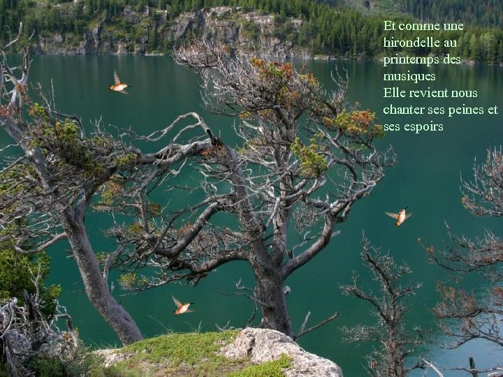 Et comme une hirondelle au printemps des musiques Elle revient nous chanter ses peines