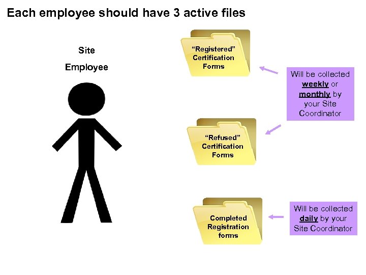 Each employee should have 3 active files Site Employee “Registered” Certification Forms Will be