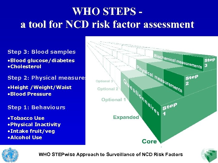 WHO STEPS a tool for NCD risk factor assessment Step 3: Blood samples •