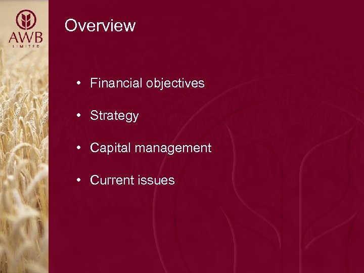 Overview • Financial objectives • Strategy • Capital management • Current issues 