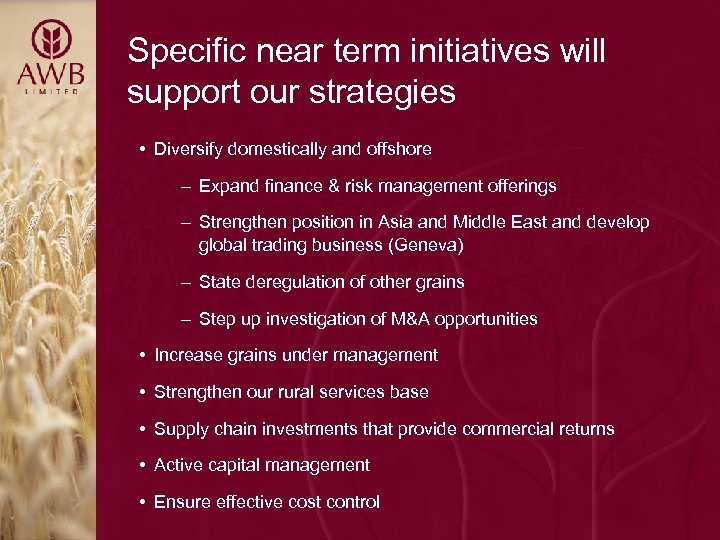 Specific near term initiatives will support our strategies • Diversify domestically and offshore –