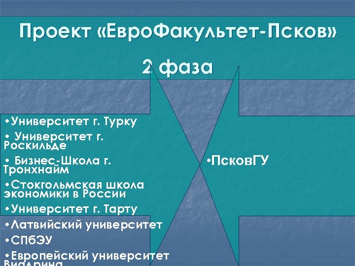 Проект «Евро. Факультет-Псков» 2 фаза • Университет г. Турку • Университет г. Роскильде •