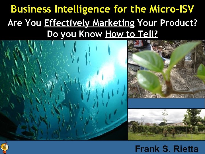 Business Intelligence for the Micro-ISV Are You Effectively Marketing Your Product? Do you Know