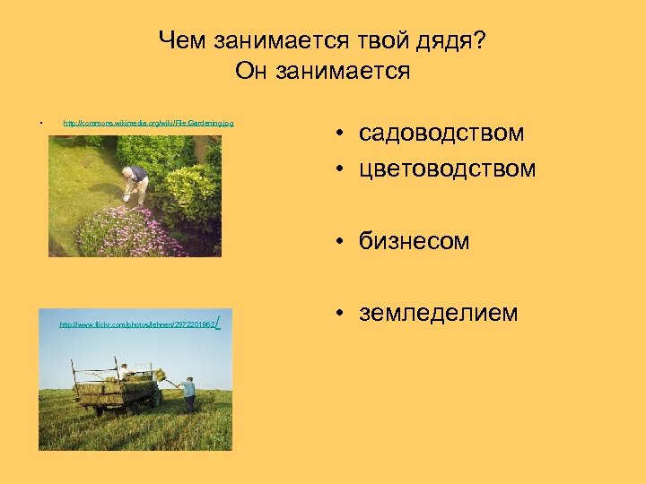 Чем занимается твой дядя? Он занимается • http: //commons. wikimedia. org/wiki/File: Gardening. jpg •