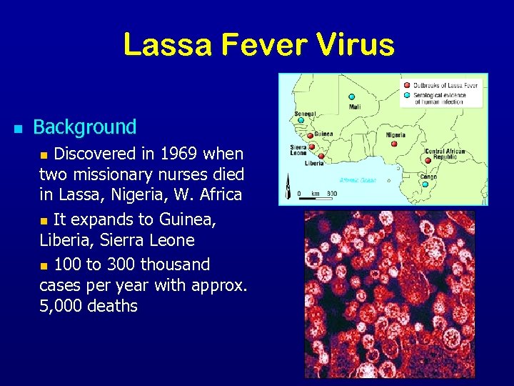 Lassa Fever Virus n Background n Discovered in 1969 when two missionary nurses died