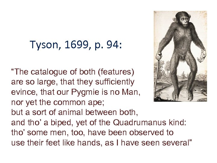 Tyson, 1699, p. 94: “The catalogue of both (features) are so large, that they