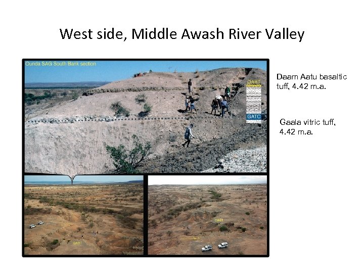 West side, Middle Awash River Valley Daam Aatu basaltic tuff, 4. 42 m. a.