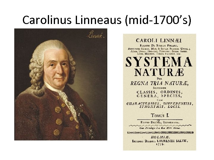 Carolinus Linneaus (mid-1700’s) 