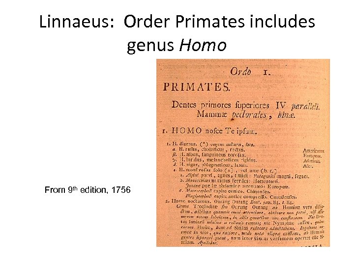 Linnaeus: Order Primates includes genus Homo From 9 th edition, 1756 