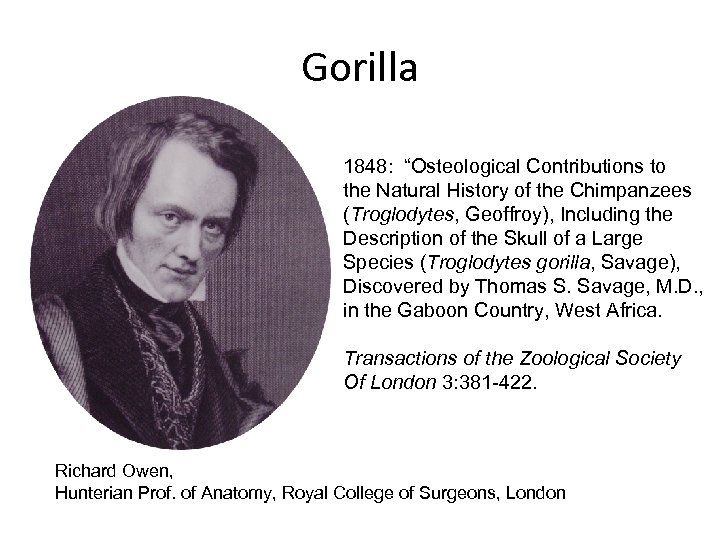 Gorilla 1848: “Osteological Contributions to the Natural History of the Chimpanzees (Troglodytes, Geoffroy), Including