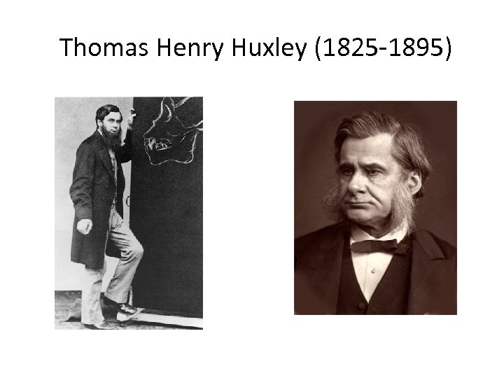 Thomas Henry Huxley (1825 -1895) 