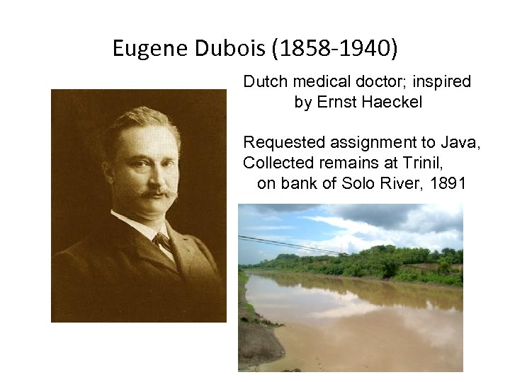 Eugene Dubois (1858 -1940) Dutch medical doctor; inspired by Ernst Haeckel Requested assignment to