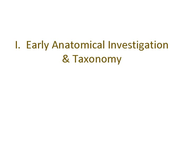 I. Early Anatomical Investigation & Taxonomy 