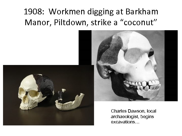 1908: Workmen digging at Barkham Manor, Piltdown, strike a “coconut” Charles Dawson, local archaeologist,