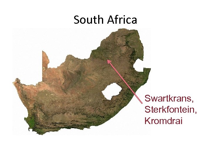 South Africa Swartkrans, Sterkfontein, Kromdrai 