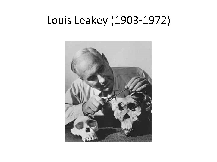 Louis Leakey (1903 -1972) 