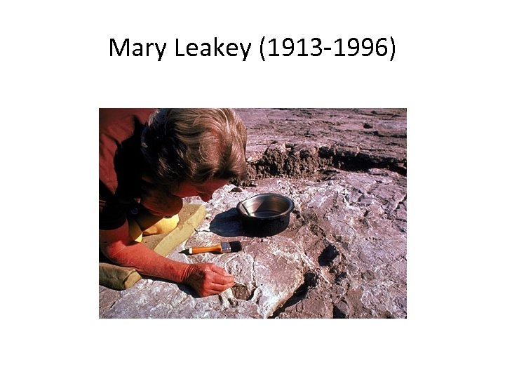 Mary Leakey (1913 -1996) 