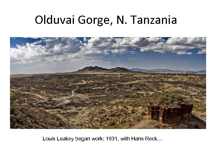 Olduvai Gorge, N. Tanzania Louis Leakey began work: 1931, with Hans Reck… 