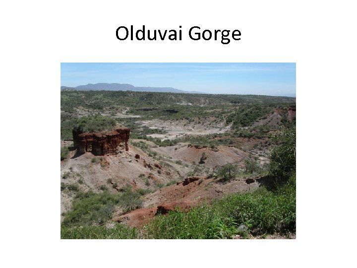 Olduvai Gorge 