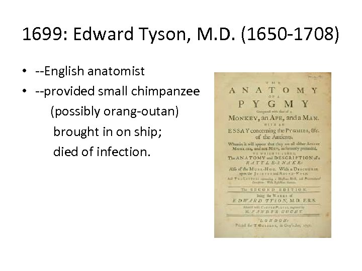 1699: Edward Tyson, M. D. (1650 -1708) • --English anatomist • --provided small chimpanzee