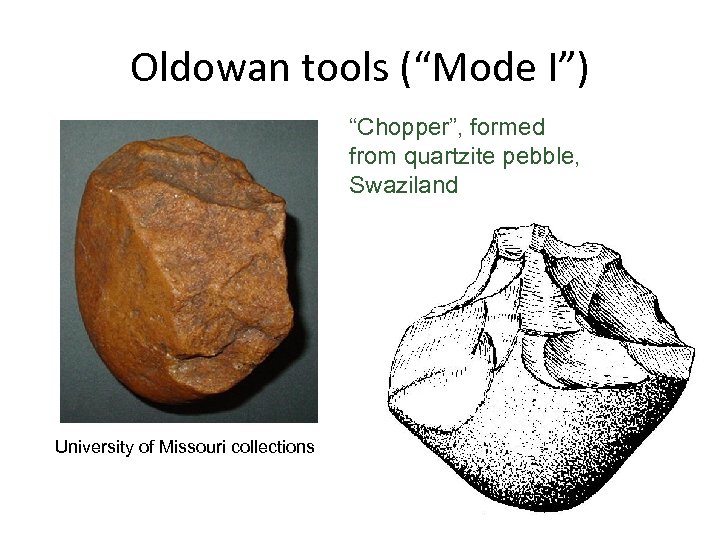 Oldowan tools (“Mode I”) “Chopper”, formed from quartzite pebble, Swaziland University of Missouri collections