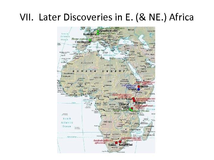 VII. Later Discoveries in E. (& NE. ) Africa 