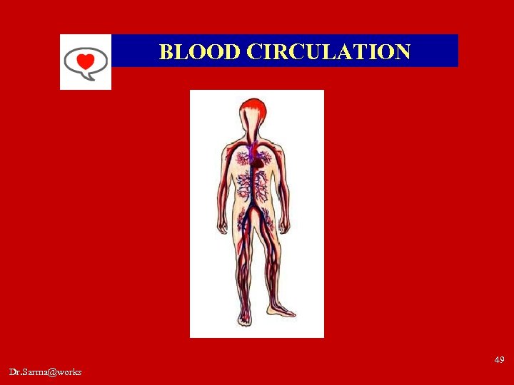 BLOOD CIRCULATION 49 Dr. Sarma@works 