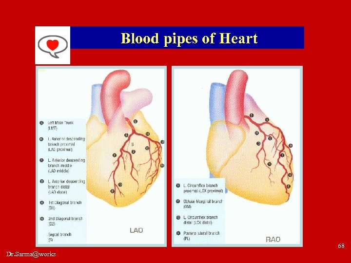 Blood pipes of Heart 68 Dr. Sarma@works 