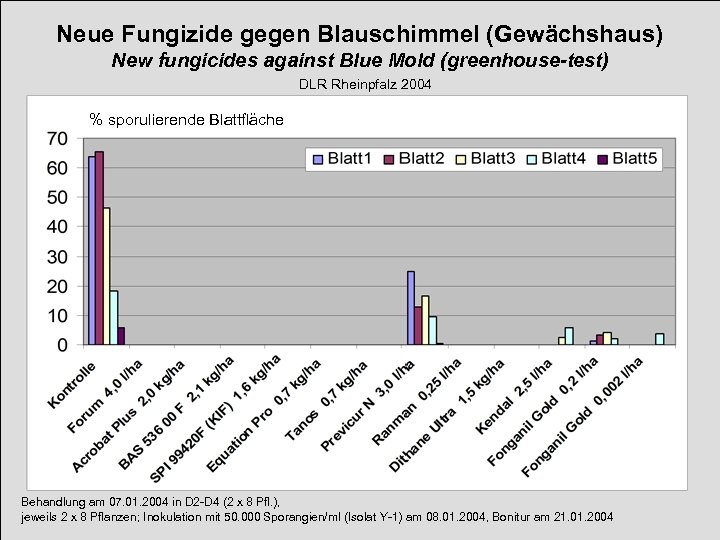 Neue Fungizide gegen Blauschimmel (Gewächshaus) New fungicides against Blue Mold (greenhouse-test) DLR Rheinpfalz 2004