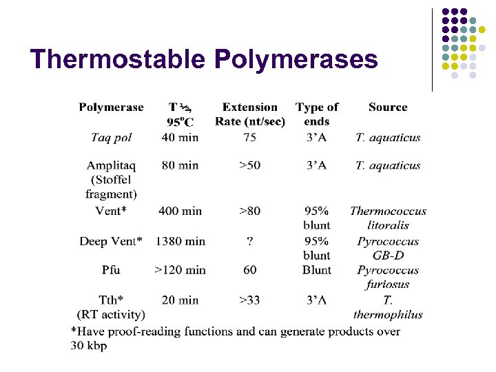 Thermostable Polymerases 