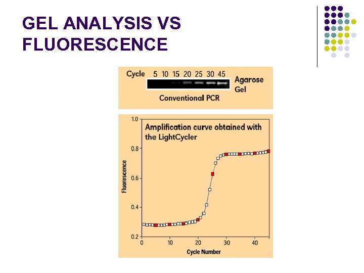 GEL ANALYSIS VS FLUORESCENCE 