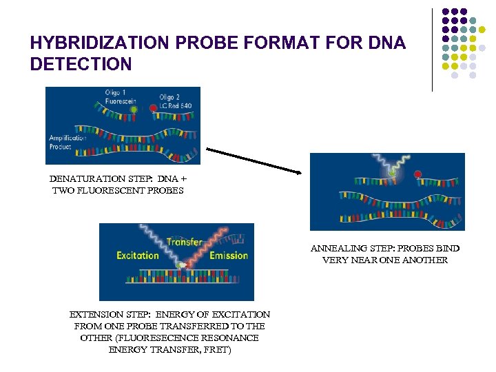 HYBRIDIZATION PROBE FORMAT FOR DNA DETECTION DENATURATION STEP: DNA + TWO FLUORESCENT PROBES ANNEALING