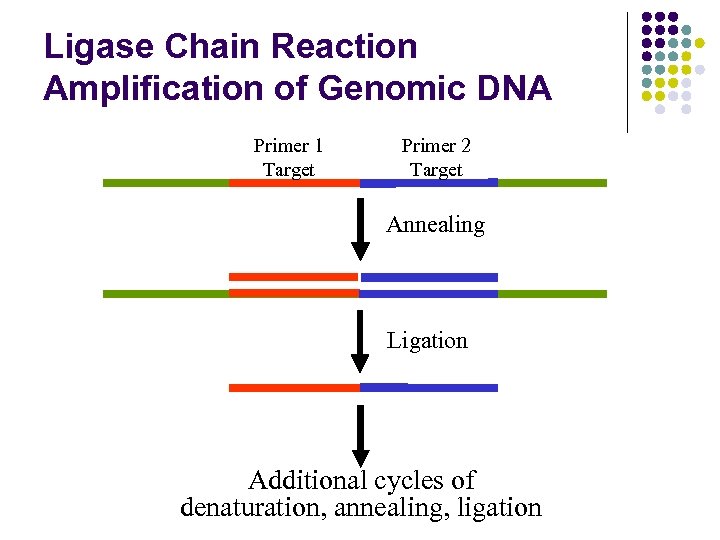 Ligase Chain Reaction Amplification of Genomic DNA Primer 1 Target Primer 2 Target Annealing