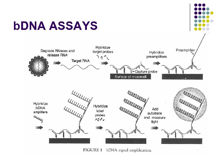 b. DNA ASSAYS 