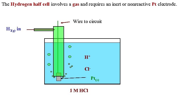 The Hydrogen half cell involves a gas and requires an inert or nonreactive Pt