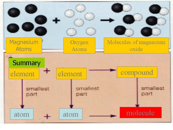 Magnesium Atoms Oxygen Atoms Molecules of magnesium oxide Summary element atom compound molecule 