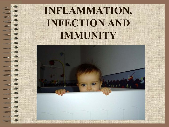INFLAMMATION, INFECTION AND IMMUNITY 