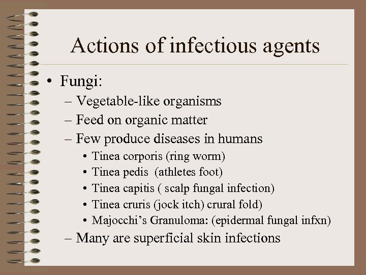 Actions of infectious agents • Fungi: – Vegetable-like organisms – Feed on organic matter