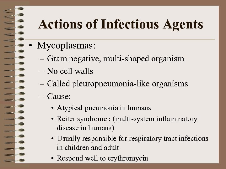Actions of Infectious Agents • Mycoplasmas: – Gram negative, multi-shaped organism – No cell