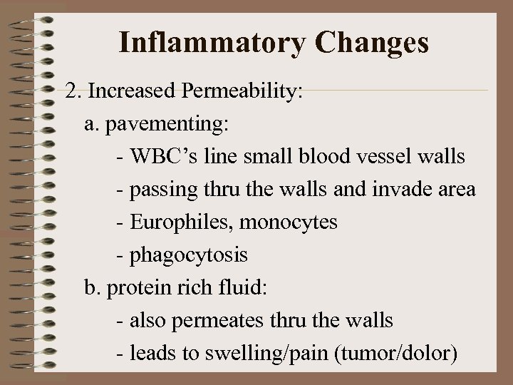 Inflammatory Changes 2. Increased Permeability: a. pavementing: - WBC’s line small blood vessel walls