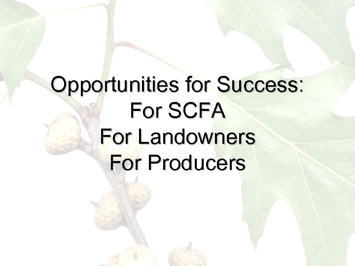 Opportunities for Success: For SCFA For Landowners For Producers 
