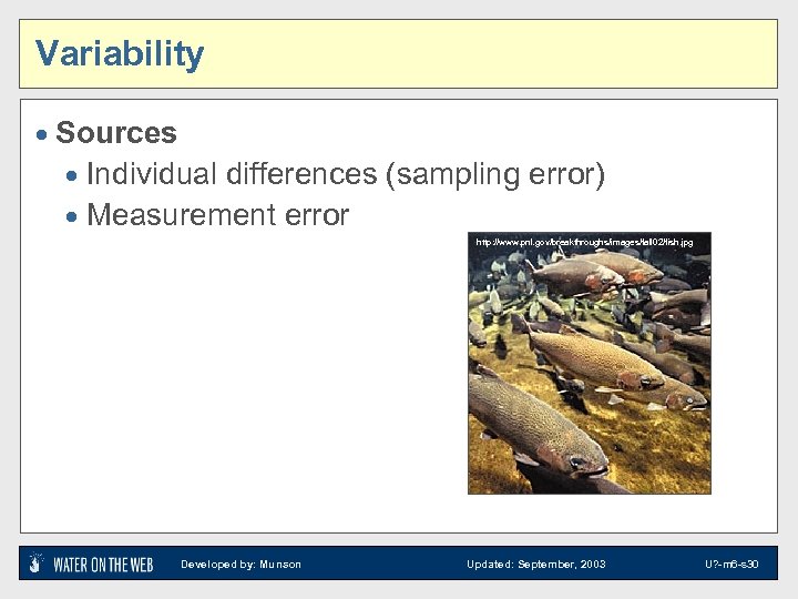 Variability · Sources · Individual differences (sampling error) · Measurement error http: //www. pnl.
