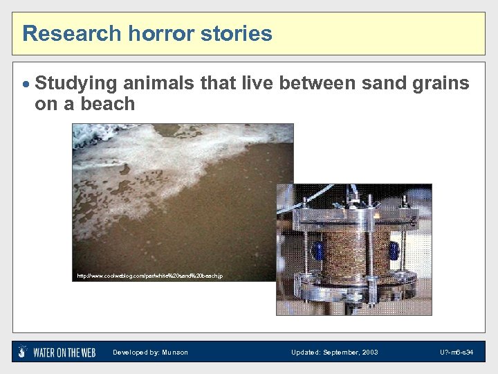 Research horror stories · Studying animals that live between sand grains on a beach