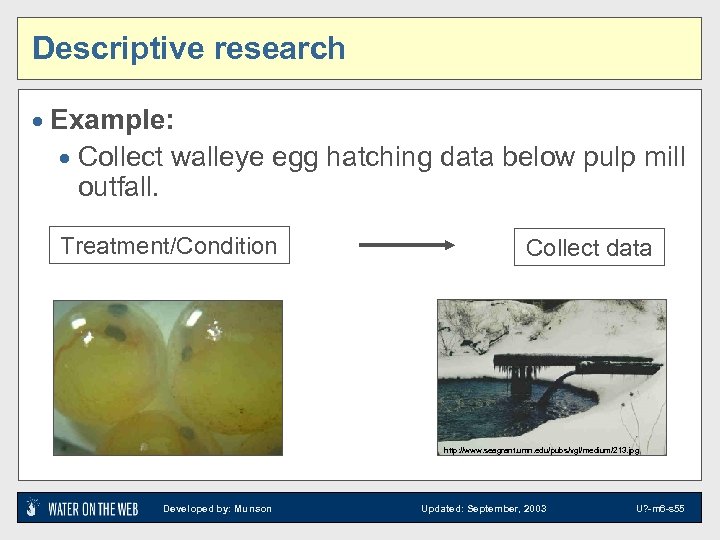 Descriptive research · Example: · Collect walleye egg hatching data below pulp mill outfall.