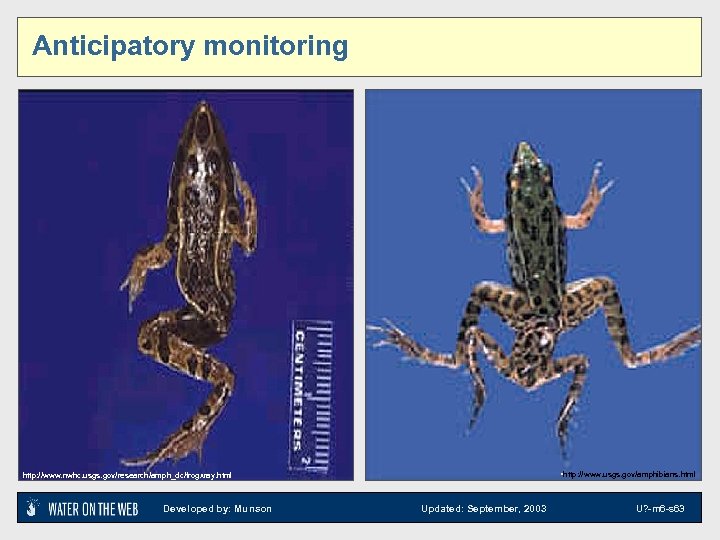 Anticipatory monitoring • http: //www. usgs. gov/amphibians. html http: //www. nwhc. usgs. gov/research/amph_dc/frogxray. html