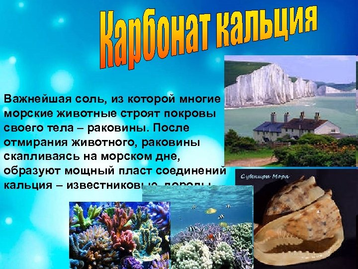 Важнейшая соль, из которой многие морские животные строят покровы своего тела – раковины. После