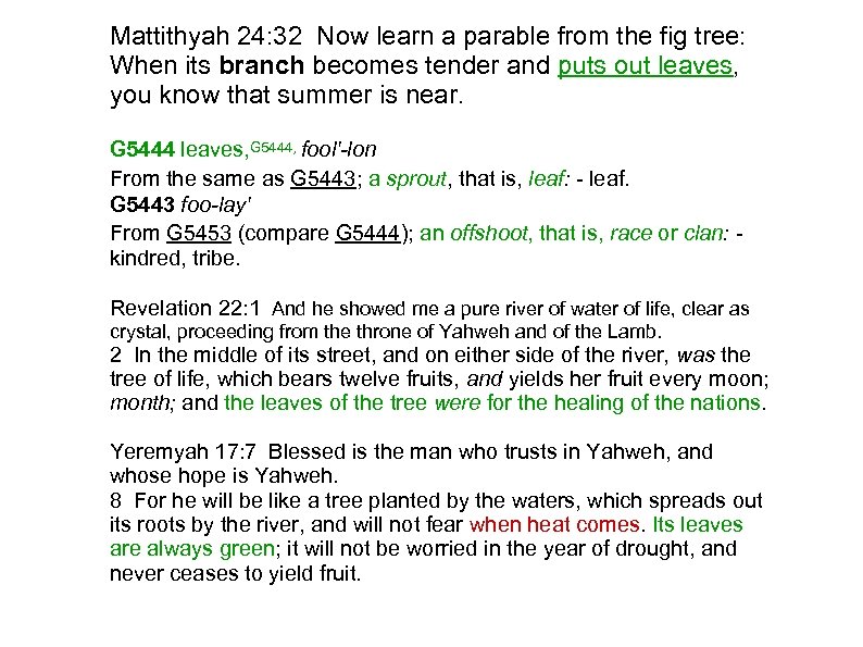 Mattithyah 24: 32 Now learn a parable from the fig tree: When its branch