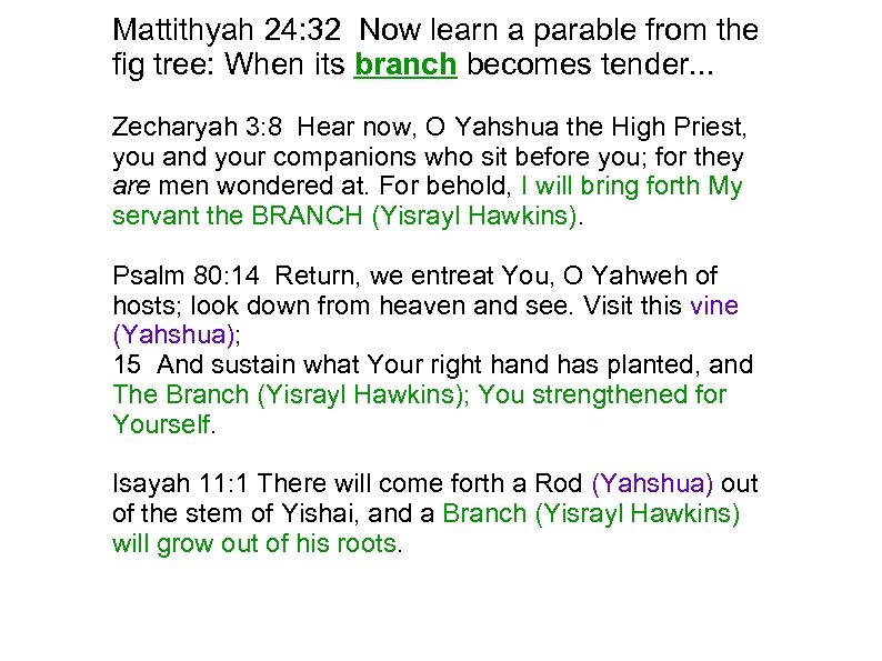 Mattithyah 24: 32 Now learn a parable from the fig tree: When its branch